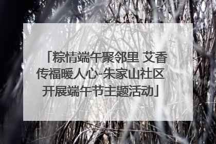 粽情端午聚邻里 艾香传福暖人心-朱家山社区开展端午节主题活动