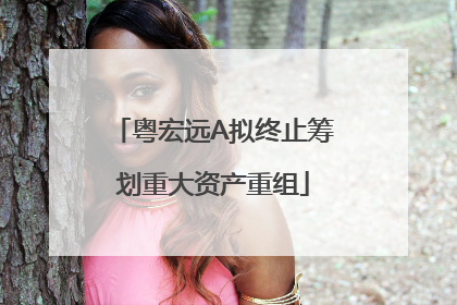 粤宏远A拟终止筹划重大资产重组