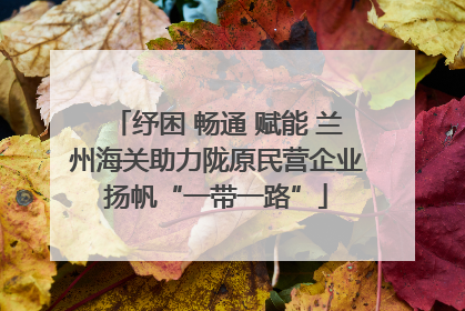 纾困 畅通 赋能 兰州海关助力陇原民营企业扬帆“一带一路”
