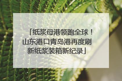 纸浆母港领跑全球！山东港口青岛港再度刷新纸浆装箱新纪录