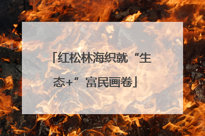 红松林海织就“生态+”富民画卷