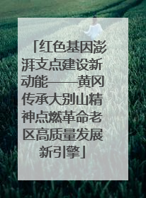 红色基因澎湃支点建设新动能——黄冈传承大别山精神点燃革命老区高质量发展新引擎