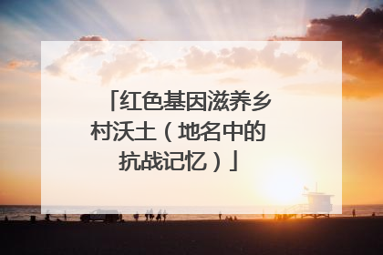 红色基因滋养乡村沃土（地名中的抗战记忆）