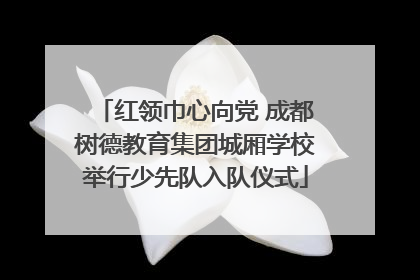 红领巾心向党 成都树德教育集团城厢学校举行少先队入队仪式