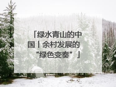 绿水青山的中国丨余村发展的“绿色变奏”