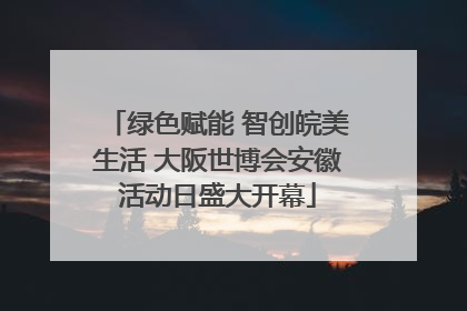绿色赋能 智创皖美生活 大阪世博会安徽活动日盛大开幕