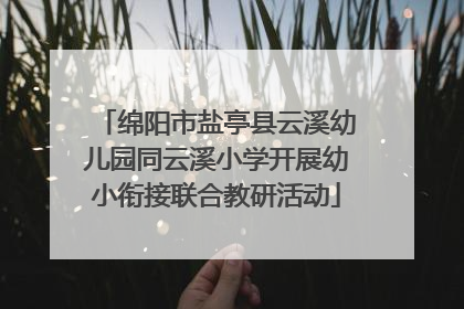 绵阳市盐亭县云溪幼儿园同云溪小学开展幼小衔接联合教研活动