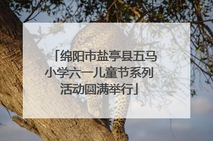绵阳市盐亭县五马小学六一儿童节系列活动圆满举行