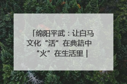 绵阳平武：让白马文化“活”在典籍中 “火”在生活里｜新闻发布最前线