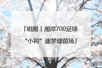 组图丨湘潭700足球“小将”逐梦绿茵场