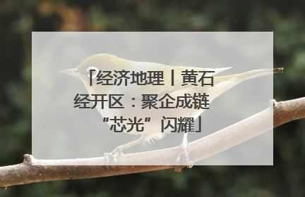 经济地理丨黄石经开区：聚企成链“芯光”闪耀