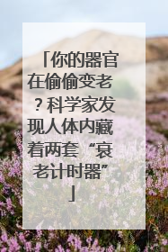 你的器官在偷偷变老？科学家发现人体内藏着两套“衰老计时器”