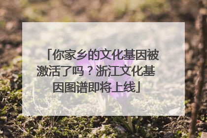 你家乡的文化基因被激活了吗？浙江文化基因图谱即将上线