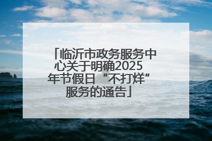 临沂市政务服务中心关于明确2025年节假日“不打烊”服务的通告