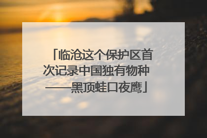 临沧这个保护区首次记录中国独有物种——黑顶蛙口夜鹰