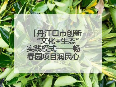 丹江口市创新“文化+生态”实践模式——畅春园项目润民心护碧水显成效