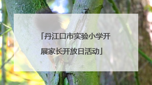 丹江口市实验小学开展家长开放日活动