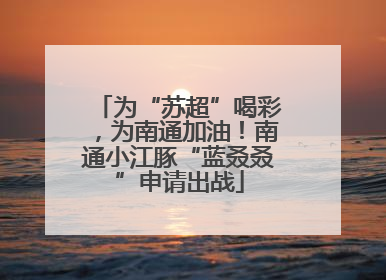 为“苏超”喝彩，为南通加油！南通小江豚“蓝叒叒”申请出战