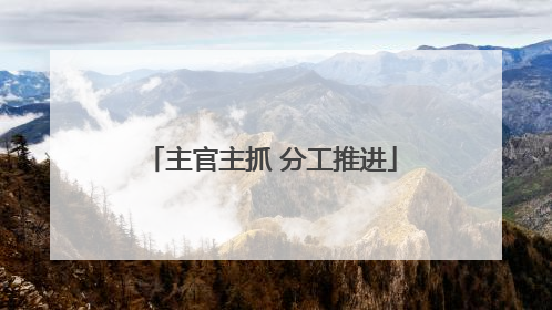 主官主抓 分工推进