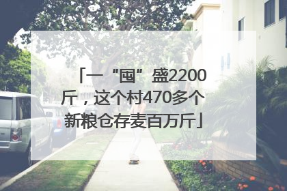 一“囤”盛2200斤，这个村470多个新粮仓存麦百万斤