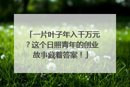 一片叶子年入千万元？这个日照青年的创业故事藏着答案！