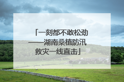 一刻都不敢松劲——湖南桑植防汛救灾一线直击