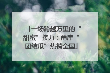 一场跨越万里的“甜蜜”接力：甬库“团结瓜”热销全国