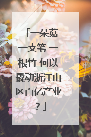 一朵菇 一支笔 一根竹 何以撬动浙江山区百亿产业？