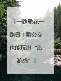 一路繁花一路景！乘公交也能玩出“旅游感”
