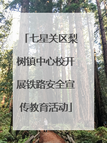 七星关区梨树镇中心校开展铁路安全宣传教育活动
