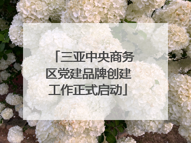 三亚中央商务区党建品牌创建工作正式启动