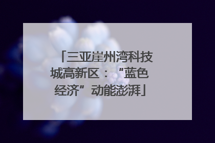 三亚崖州湾科技城高新区：“蓝色经济”动能澎湃