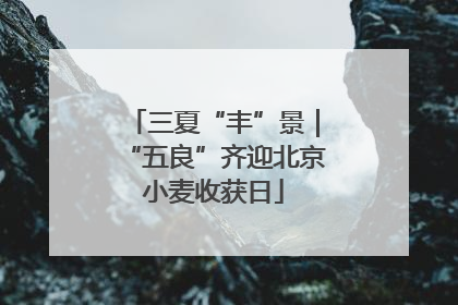 三夏“丰”景｜“五良”齐迎北京小麦收获日