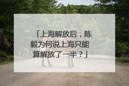 上海解放后，陈毅为何说上海只能算解放了一半？