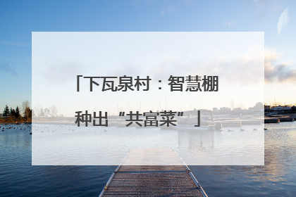 下瓦泉村：智慧棚种出“共富菜”