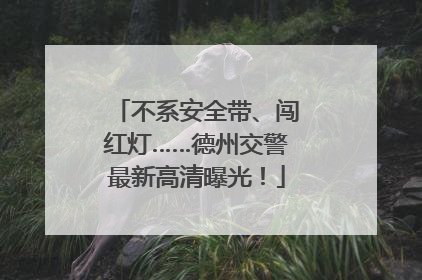 不系安全带、闯红灯……德州交警最新高清曝光！