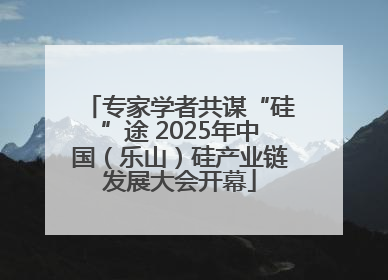 专家学者共谋“硅”途 2025年中国（乐山）硅产业链发展大会开幕