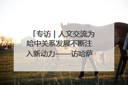 专访｜人文交流为哈中关系发展不断注入新动力——访哈萨克斯坦文化与信息部部长巴拉耶娃