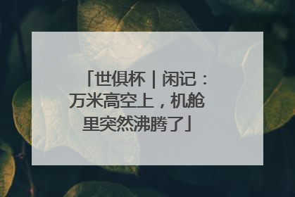 世俱杯｜闲记：万米高空上，机舱里突然沸腾了