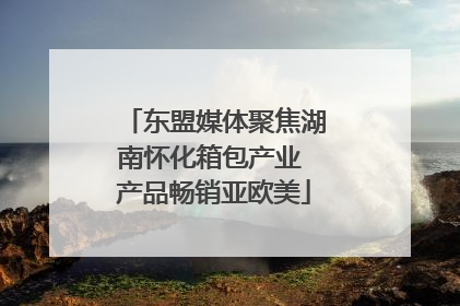 东盟媒体聚焦湖南怀化箱包产业 产品畅销亚欧美