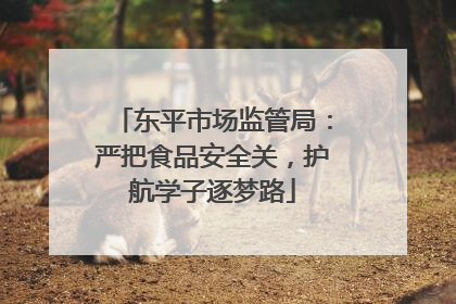 东平市场监管局：严把食品安全关，护航学子逐梦路