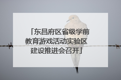 东昌府区省级学前教育游戏活动实验区建设推进会召开