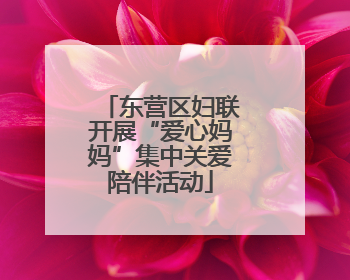 东营区妇联开展“爱心妈妈”集中关爱陪伴活动