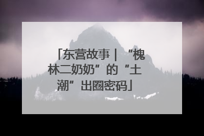 东营故事｜“槐林二奶奶”的“土潮”出圈密码