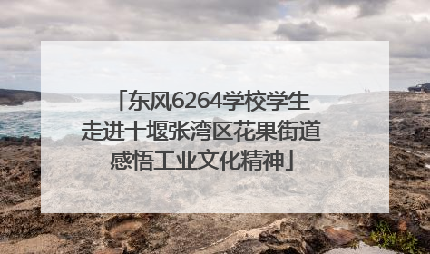 东风6264学校学生走进十堰张湾区花果街道感悟工业文化精神