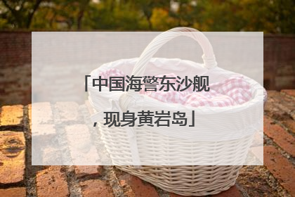中国海警东沙舰，现身黄岩岛