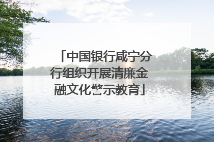 中国银行咸宁分行组织开展清廉金融文化警示教育