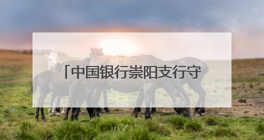 中国银行崇阳支行守护百姓“钱袋子”