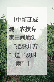 中新武威观｜农技专家田间地头“把脉开方”送“及时雨”