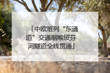 中欧班列“东通道”交通咽喉绥芬河隧道全线贯通